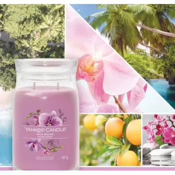 Yankee Candle Wild Orchid vaškinė žvakė 157 mm aukštis 93 mm plotis