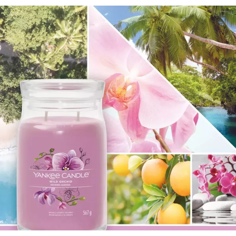 Yankee Candle Wild Orchid vaškinė žvakė 157 mm aukštis 93 mm plotis