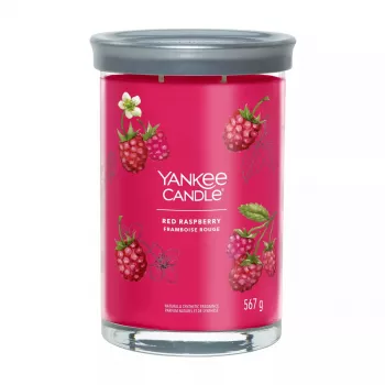Vaškinė žvakė cilindras Yankee Candle 1724404E Aukštis 149mm Skersmuo 9,9cm