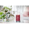 Vaškinė žvakė Yankee Candle 1724478E Cherry Red 149mm 567g