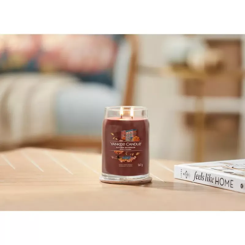 Žvakė vaškinė Yankee Candle 1743378E Raudona 157mm aukštis 9,3cm skersmuo 567g