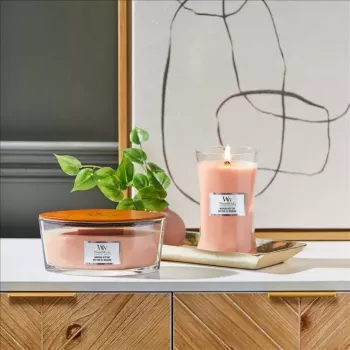 WoodWick žvakė Manuka Nectar 90 mm x 190 mm x 120 mm 1 vnt.
