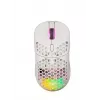 Pelės kilimėlis FOURZE GM900