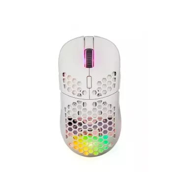 Pelės kilimėlis FOURZE GM900