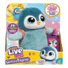 Interaktyvus žaislas Cobi Little Live Pets Walking Penguin Kiwaczek MO-26535, baterijomis maitinamas vaikščiojantis pingvinas