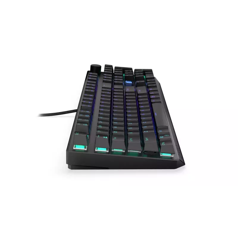 Gaming klaviatūra ENDORFY Thock RF Wireless USB Mechaninė RGB Juoda