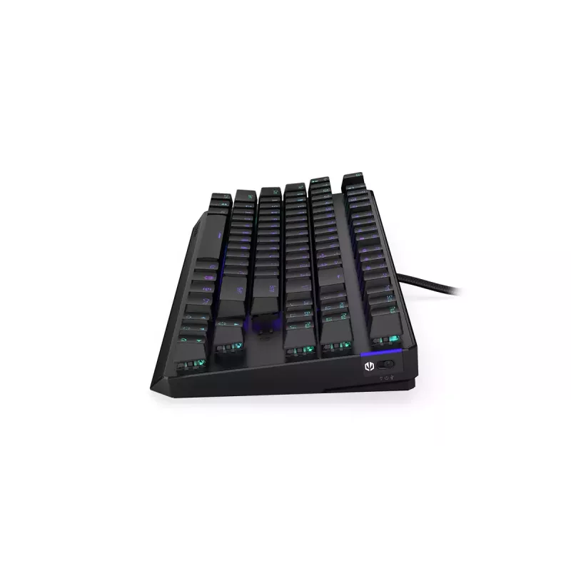 Klaviatūra ENDORFY Thock TKL Wireless Black mechaninė RGB LED 87 klavišų