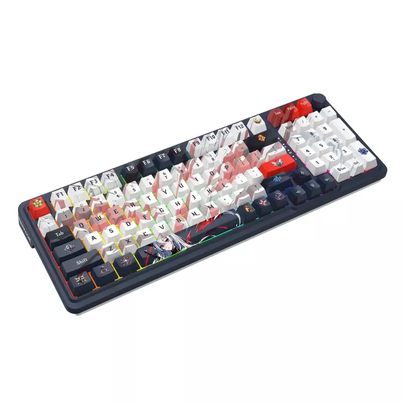 Mechaninė klaviatūra REDRAGON K686AK-RGB-PRO EISA – RF belaidė + USB, Navy White, 1,5 m laidas