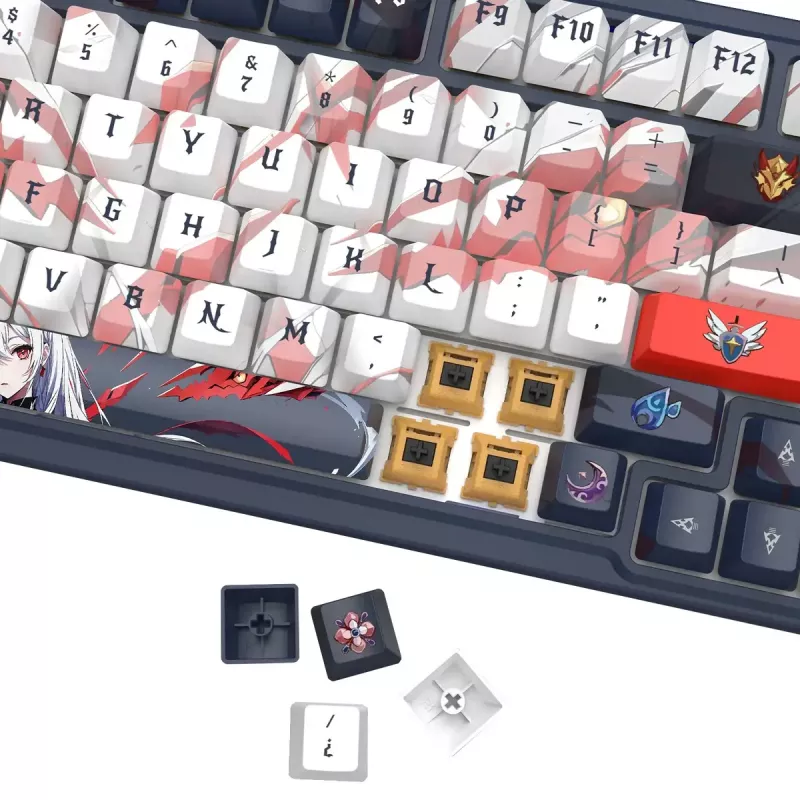 Mechaninė klaviatūra REDRAGON K686AK-RGB-PRO EISA – RF belaidė + USB, Navy White, 1,5 m laidas
