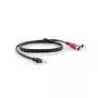 Garso kabelis Kramer Electronics C-A35M/2RAM-6 1,8 m 3,5 mm 2xRCA juodas