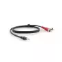 Garso kabelis Kramer Electronics C-A35M/2RAM-35 10,7m 3,5mm 2xRCA Juodas