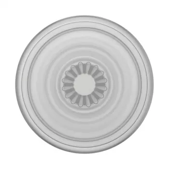 Grip PopSockets PlantCore – universalus telefono laikiklis, pilkai permatomas, 38,8×7,7 mm