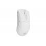 Pelė Genesis NMG-2382