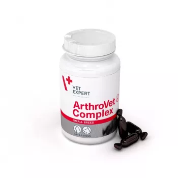 VETEXPERT ArthroVet Collagen Small breed papildas šunims ir katėms - 60 tablečių