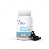 VetExpert NeuroSupport 45 kapsulių