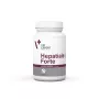 VetExpert Hepatiale Forte Large Breed 40 tablečių