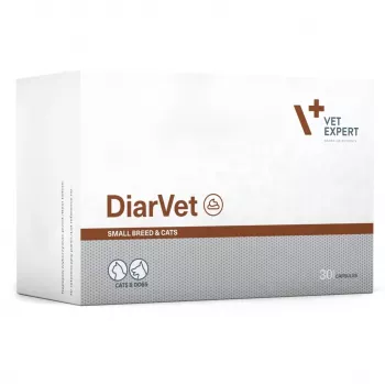 VetExpert Diarvet Mažų veislių šunims ir katėms 30 kaps.