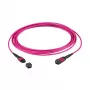 EFB MTP(F)-MTP(F) Patch Cable OM4 36 Gyslų Tipas A LSZH viržinė violetinė 20m
