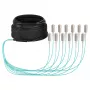 EFB Trunk Cable U-DQ(ZN)BH OM3 12G (1x12) SC-SC 20m Dca LSZH