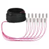 EFB Trunk Cable U-DQ(ZN)BH OM4 12G (1x12) SC-SC 30m Dca LSZH