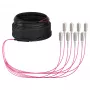 EFB Trunk Cable U-DQ(ZN)BH OM4 8G (1x8) SC-SC 10m Dca LSŽ
