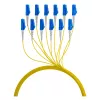 EFB Trunk Cable U-DQ(ZN)BH OS2 12E (1x12) LC-LC 50m Dca LSZH G657A1