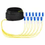 EFB Trunk Cable U-DQ(ZN)BH OS2 12E (1x12) SC-SC 10m Dca LSZH G657A1