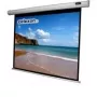 Celexon Economy elektrinis ekranas - montuojamas prie lubų, tinka montuoti ant sienos - motorizuotas - 250 cm (98 inch) - 4:3 (1090073)