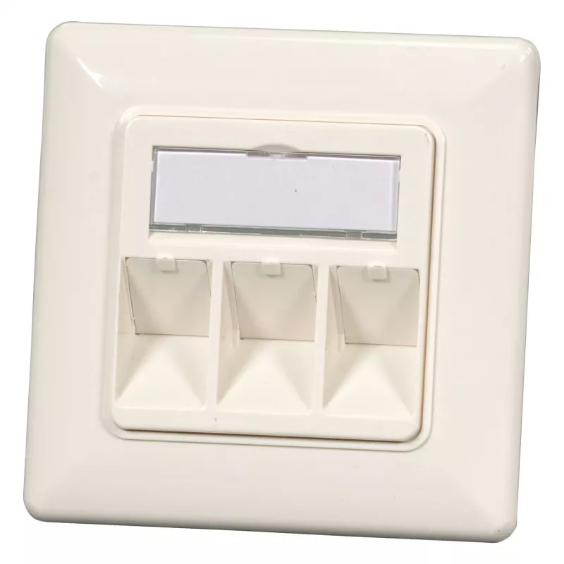 EFB Elektronik ET-25091 2 prievadų Keystone rėmo rinkinys – tiesus DIN49075 lizdas, RAL9003 balta, 80×80 mm rėmas su 50×50 mm centrine plokšte