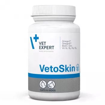 VetExpert VetoSkin 90 kapsulių
