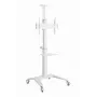 Gembird TVS-70T-02-W Grindinis stovas televizoriui 37-70 colių baltas