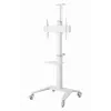 Gembird TVS-70T-02-W Grindinis stovas televizoriui 37-70 colių baltas
