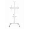 Gembird TVS-70T-02-W Grindinis stovas televizoriui 37-70 colių baltas