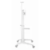 Gembird TVS-70T-02-W Grindinis stovas televizoriui 37-70 colių baltas