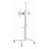 Gembird TVS-70T-02-W Grindinis stovas televizoriui 37-70 colių baltas
