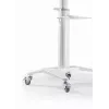 Gembird TVS-70T-02-W Grindinis stovas televizoriui 37-70 colių baltas