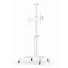 Gembird TVS-70T-02-W Grindinis stovas televizoriui 37-70 colių baltas