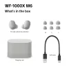 Sony WF-1000XM6 belaidės ausinės į ausis, sidabrinės