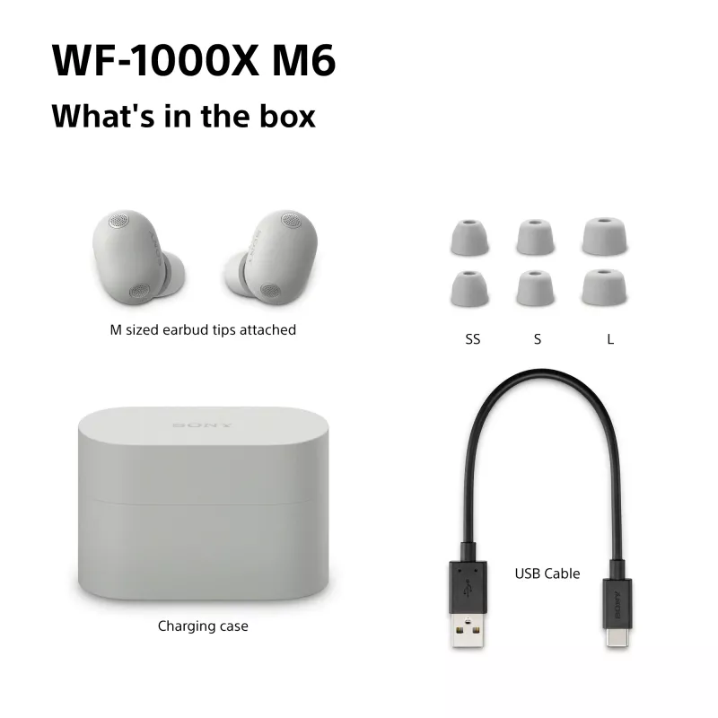 Sony WF-1000XM6 belaidės ausinės į ausis, sidabrinės