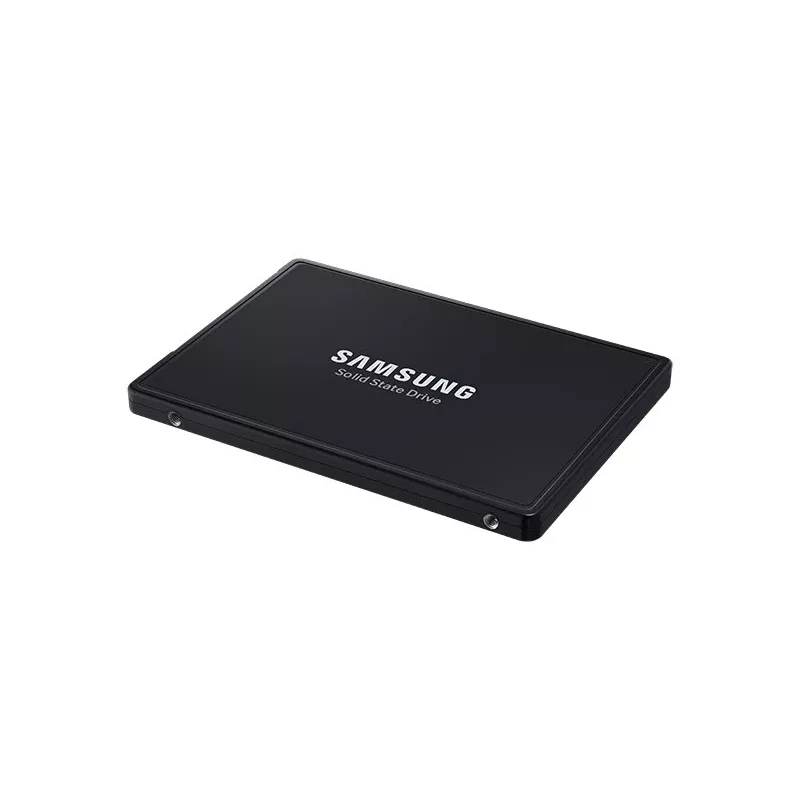 Samsung PM9A3 3.84 TB 2,5 colio PCI Express 4.0 NVMe V-NAND TLC