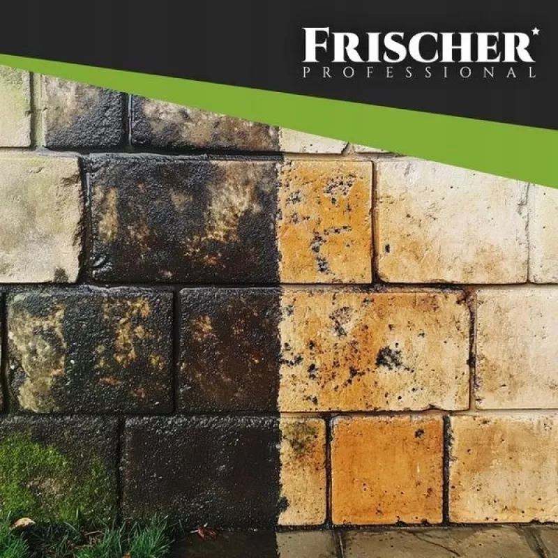 Frischer fasadų valiklis 1l