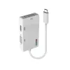 Lindy USB Type C į Trigubą Ekraną Konverteris, 3840 x 2160 pikselių