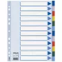 Esselte skirtukai PP A4 12 lapų, tuščias skirtukas, PVC, įvairiaspalviai, A4, 2, 4, 6, 225 mm