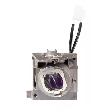 Projektoriaus lempa Viewsonic RLC-125