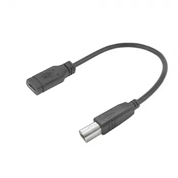 ACT USB-C moteriškas į USB-B 2.0 adapterio laidas 0,2 m