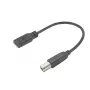 ACT USB-C moteriškas į USB-B 2.0 adapterio laidas 0,2 m