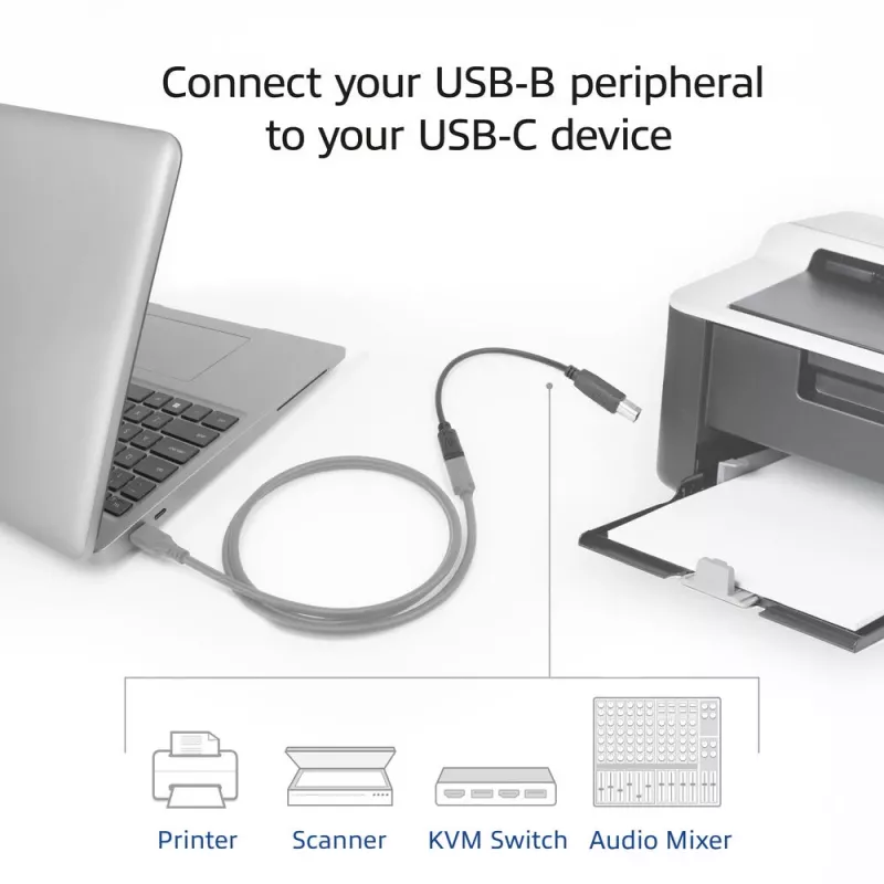 ACT USB-C moteriškas į USB-B 2.0 adapterio laidas 0,2 m