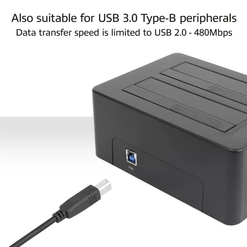 ACT USB-C moteriškas į USB-B 2.0 adapterio laidas 0,2 m
