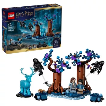 LEGO Harry Potter 76475 Uždraustasis miškas: Expecto Patronum (244 dalių)
