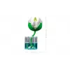 LEGO Botanicals 11511 Vandens lelijos (259 dalių)